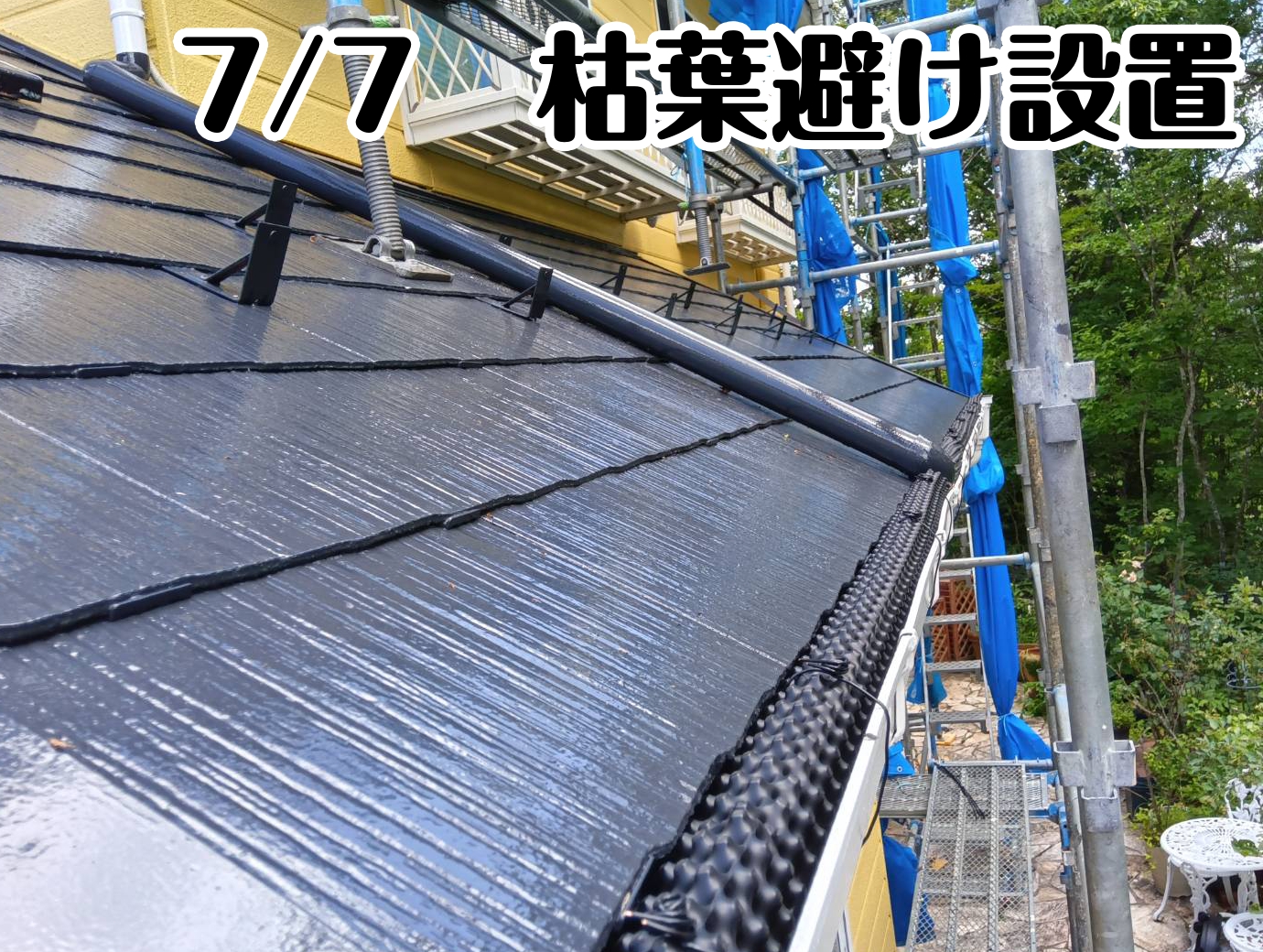 7/7　枯葉避け設置